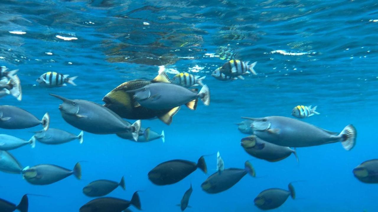 绿岛20ft 海阁公寓 外观 照片